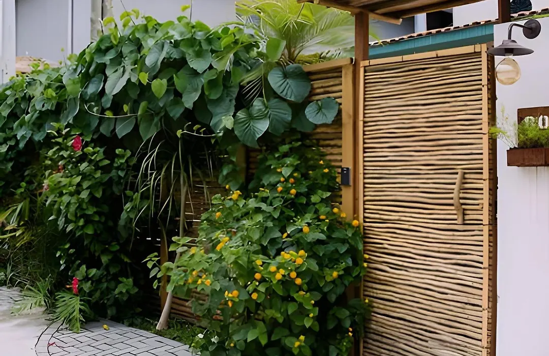 Casa mangarito - suítes-1